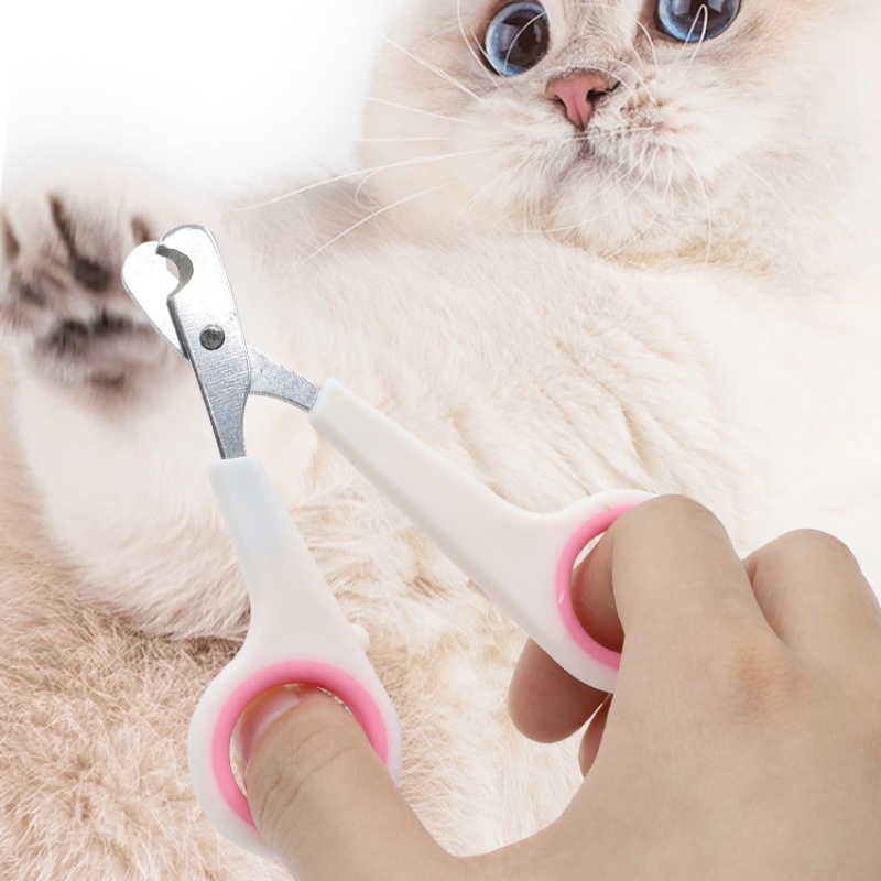 애완동물 발톱깎이 강아지 고양이 발톱 손질 가위 동물  - Home Barbershop 리뷰 및 가격
