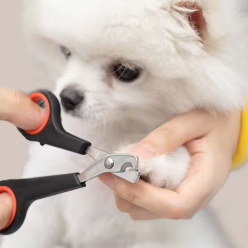 애완동물 발톱깎이 강아지 고양이 발톱 손질 가위 동물  - Home Barbershop 리뷰 및 가격